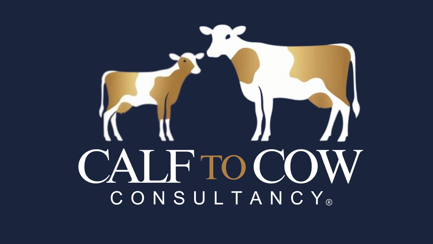 Calf to Cow Consultancy Logo.